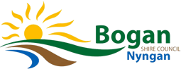 Council Logo